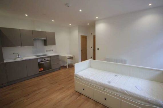 1 Bedroom Apartment